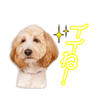 原家のりのちゃん（個別スタンプ：3）