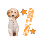 原家のりのちゃん（個別スタンプ：7）