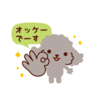 トイプードル色々_わくわくな日々（個別スタンプ：3）