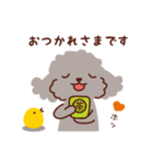 トイプードル色々_わくわくな日々（個別スタンプ：11）