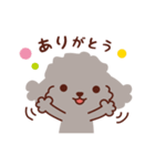トイプードル色々_わくわくな日々（個別スタンプ：13）