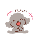 トイプードル色々_わくわくな日々（個別スタンプ：17）