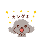 トイプードル色々_わくわくな日々（個別スタンプ：20）