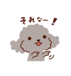 トイプードル色々_わくわくな日々（個別スタンプ：33）