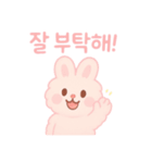 もふもふピンクうさぎ韓国語（個別スタンプ：12）