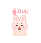 もふもふピンクうさぎ韓国語（個別スタンプ：13）