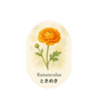 元気出る花言葉シリーズ:Flower symbolism（個別スタンプ：3）