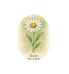 元気出る花言葉シリーズ:Flower symbolism（個別スタンプ：4）