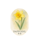 元気出る花言葉シリーズ:Flower symbolism（個別スタンプ：5）