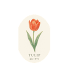 元気出る花言葉シリーズ:Flower symbolism（個別スタンプ：6）