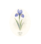 元気出る花言葉シリーズ:Flower symbolism（個別スタンプ：7）