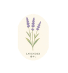 元気出る花言葉シリーズ:Flower symbolism（個別スタンプ：11）