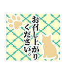 和柄と猫【挨拶】……………………….（個別スタンプ：27）