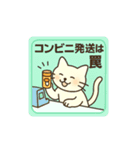 フリマを頑張る白猫さん（個別スタンプ：1）