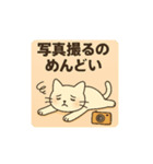 フリマを頑張る白猫さん（個別スタンプ：4）