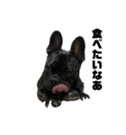 BOBstamp20250616（個別スタンプ：12）