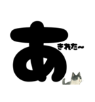 ほんね★白黒ねこのぶっちゃけスタンプ（個別スタンプ：1）