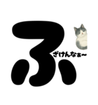 ほんね★白黒ねこのぶっちゃけスタンプ（個別スタンプ：5）
