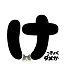 ほんね★白黒ねこのぶっちゃけスタンプ（個別スタンプ：17）