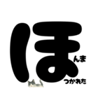 ほんね★白黒ねこのぶっちゃけスタンプ（個別スタンプ：22）