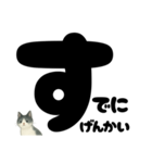 ほんね★白黒ねこのぶっちゃけスタンプ（個別スタンプ：38）