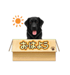 『ラブラドールレトリバー』のスタンプ（個別スタンプ：8）