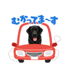 『ラブラドールレトリバー』のスタンプ（個別スタンプ：25）