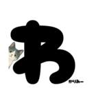 ゆるギャル★白黒ねこのコトバたち（個別スタンプ：17）