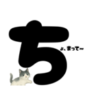 ゆるギャル★白黒ねこのコトバたち（個別スタンプ：19）