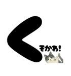 ゆるギャル★白黒ねこのコトバたち（個別スタンプ：21）