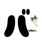 ゆるギャル★白黒ねこのコトバたち（個別スタンプ：31）
