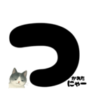 ゆるギャル★白黒ねこのコトバたち（個別スタンプ：36）