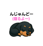 ダックスフンドのウチナーグチ(琉球語)（個別スタンプ：13）