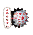 キャバリア クル ⑥ 夏（個別スタンプ：40）