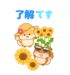 リスたちと梅雨～夏☆BIGスタンプ（個別スタンプ：5）
