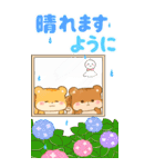 リスたちと梅雨～夏☆BIGスタンプ（個別スタンプ：38）