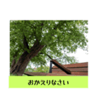 景色と言葉のスタンプ（個別スタンプ：4）
