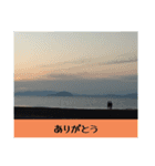景色と言葉のスタンプ（個別スタンプ：5）