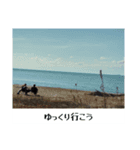 景色と言葉のスタンプ（個別スタンプ：7）