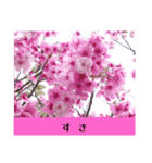 お花の言葉スタンプ（個別スタンプ：4）