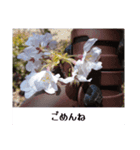 お花の言葉スタンプ（個別スタンプ：5）
