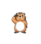 【敬礼マーモット 3】（個別スタンプ：6）