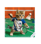 面白い＆可愛い部活猫メッセージスタンプ（個別スタンプ：6）