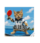 面白い＆可愛い部活猫メッセージスタンプ（個別スタンプ：7）