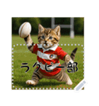 面白い＆可愛い部活猫メッセージスタンプ（個別スタンプ：8）