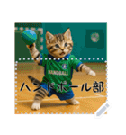 面白い＆可愛い部活猫メッセージスタンプ（個別スタンプ：12）