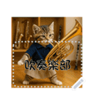 面白い＆可愛い部活猫メッセージスタンプ（個別スタンプ：15）