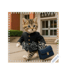 面白い＆可愛い部活猫メッセージスタンプ（個別スタンプ：24）
