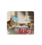 おもしろおちょらスタンプ  No.1（個別スタンプ：4）