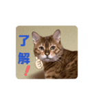 おもしろおちょらスタンプ  No.1（個別スタンプ：8）